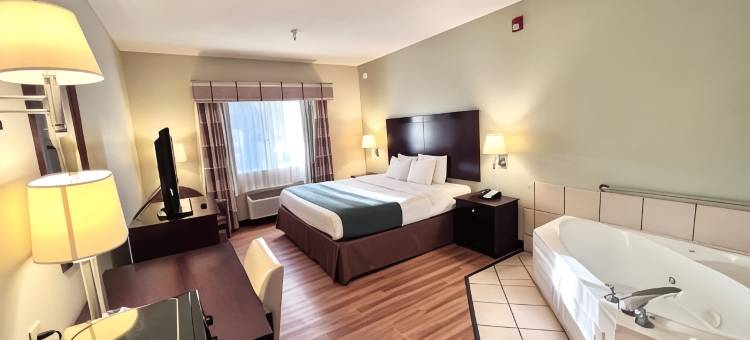 威金斯美洲最佳价值酒店(Americas Best Value Inn Wiggins)图片