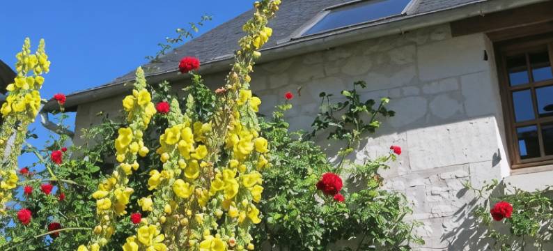 乐克洛斯德拉嘉德酒店(Le Clos de la Garde)图片