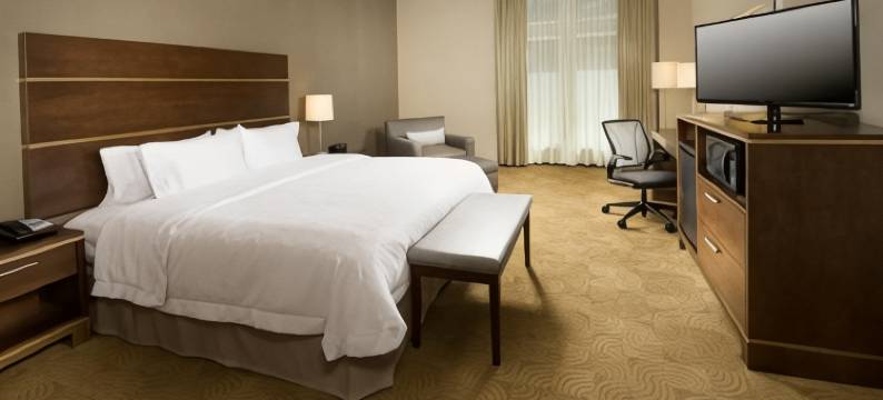 圣安东尼奥市中心/市场广场欢朋酒店及套房(Hampton Inn & Suites San Antonio-Downtown/Market Square)图片