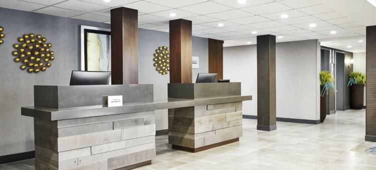 芝加哥韦斯贾斯特 - 橡树溪福朋喜来登酒店(Four Points by Sheraton Chicago Westchester/Oak Brook)图片