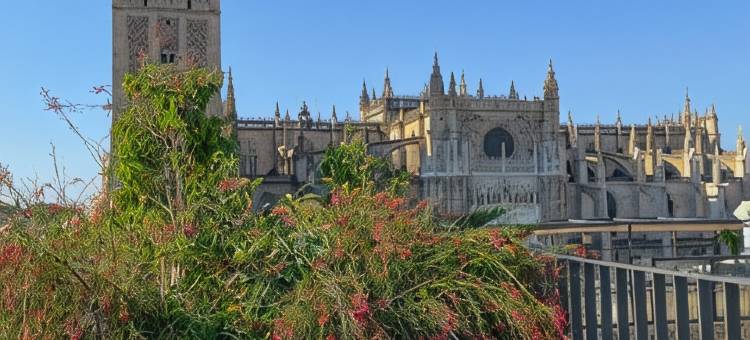 默瑟尔EME教堂酒店(EME Catedral Mercer Hotel)图片