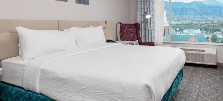 科罗拉多斯普林斯市中心希尔顿花园酒店(Hilton Garden Inn Colorado Springs Downtown)图片