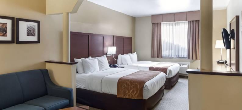 品质套房酒店米德兰北环路250(Quality Suites Midland North Loop 250)图片