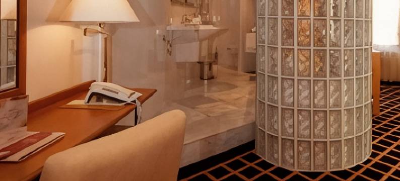 贝亨奥普佐郁金香旅馆(City Hotel Bergen op Zoom)图片