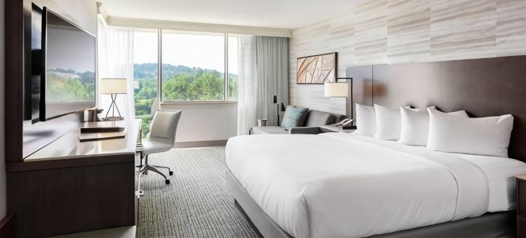 佩利米特公园希尔顿逸林酒店(DoubleTree by Hilton Birmingham Perimeter Park)图片