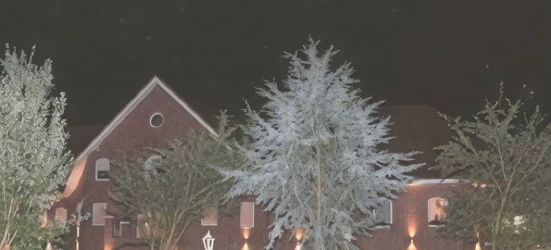 沃布斯伽戈霍夫酒店(Wobus Jägerhof)图片