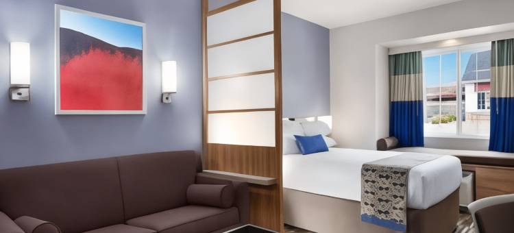 林奇堡温德姆麦客达套房酒店(Microtel Inn & Suites by Wyndham Lynchburg)图片