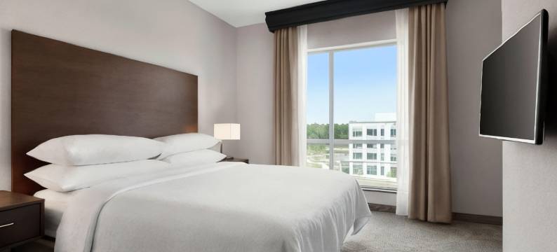 洛特爱斯丽希尔顿安泊酒店(Embassy Suites by Hilton Charlotte Ayrsley)图片