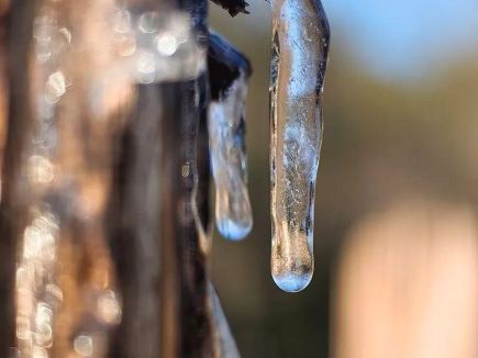 杭州西湖景區現結冰美景