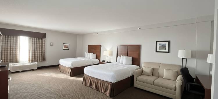 巴特尔克里克品质酒店(Country Inn & Suites by Radisson, Battle Creek, MI)图片