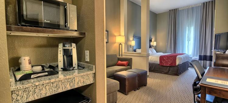 马利耶塔派克斯伯格市舒适套房酒店(Comfort Suites Marietta-Parkersburg)图片