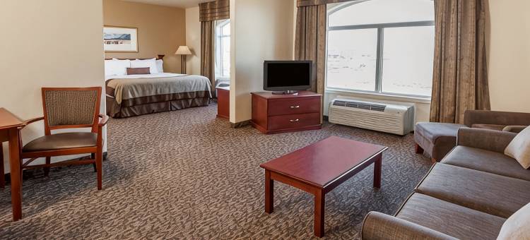 埃德蒙顿西蔚景温德姆酒店(Wingate by Wyndham Edmonton West)图片