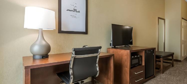 贝梅度斯靠近巴特勒大道舒适套房酒店(Comfort Suites Baymeadows Near Butler Blvd)图片