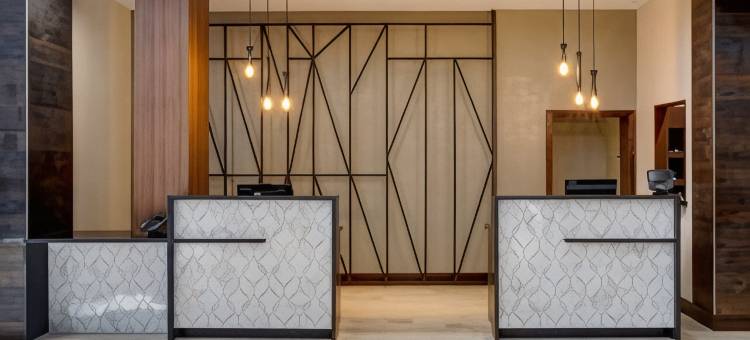 北休斯顿万豪酒店(Houston Marriott North)图片