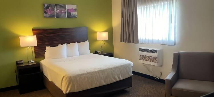 墨尔本机场郊区开放式客房酒店(Suburban Studios Melbourne Airport)图片