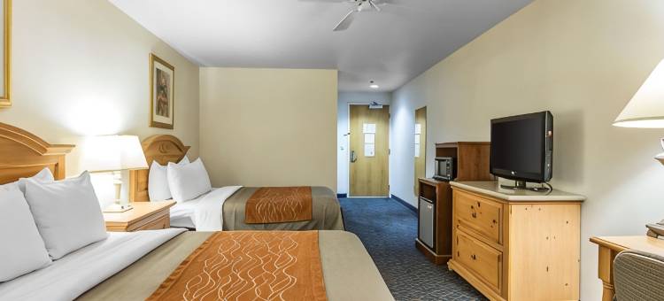红杉国王峡谷舒适套房酒店(Comfort Inn & Suites Sequoia Kings Canyon)图片