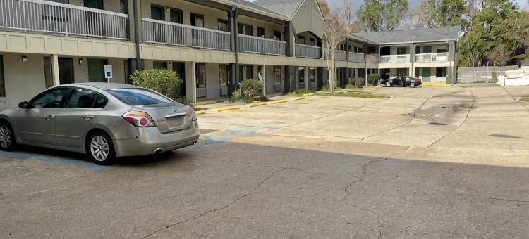 新奥尔良旅馆(Nola Inn)图片