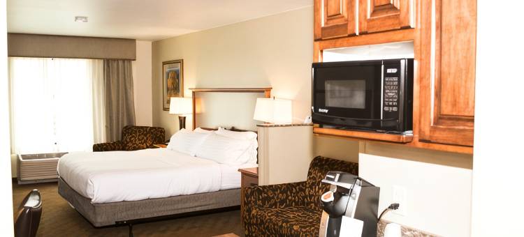 智选假日套房酒店梅森城(Holiday Inn Express & Suites MASON CITY by IHG)图片