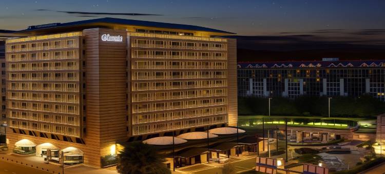 迪万酒店(Divan Istanbul City)图片