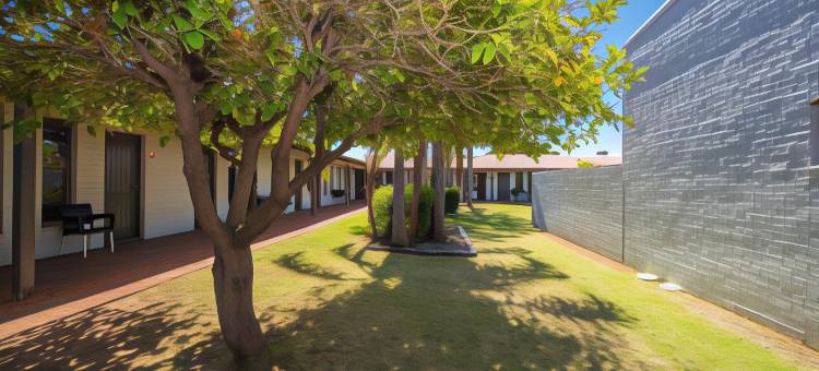 冬日阳光汽车酒店(Nightcap at Wintersun Hotel)图片