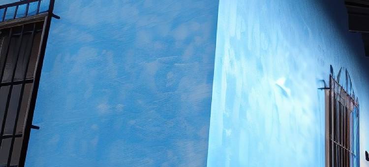 蓝鬣蜥青年旅社(Hostel Iguana Azul)图片