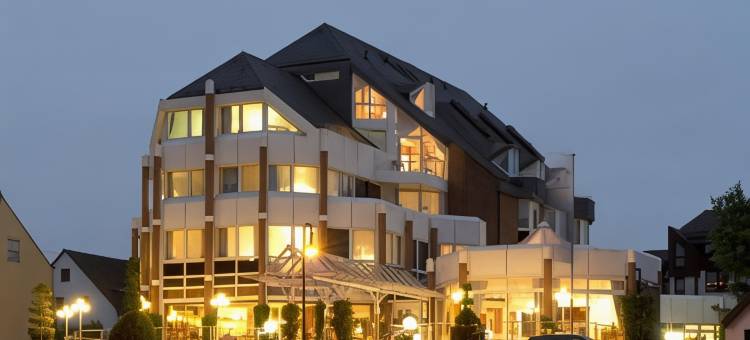 拉瑞斯瑞恩酒店(Rheinhotel Larus)图片
