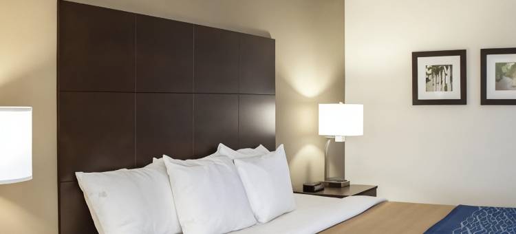 富基瓦里纳舒适套房酒店(Comfort Inn & Suites Fuquay Varina)图片