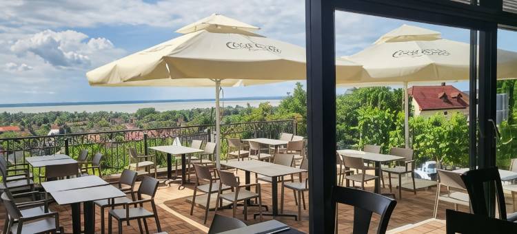 泽尼特巴拉顿酒店(Zenit Wellness Hotel Balaton)图片