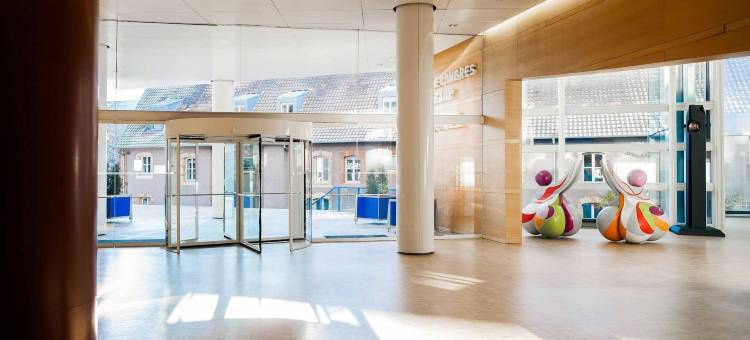 阿特里亚贝尔福中心诺富特酒店(Novotel Belfort Centre Atria)图片