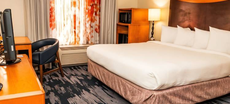 圣安东尼奥阿拉莫广场/会议中心万豪万枫酒店(Fairfield Inn & Suites San Antonio Alamo Plaza/Convention Center)图片