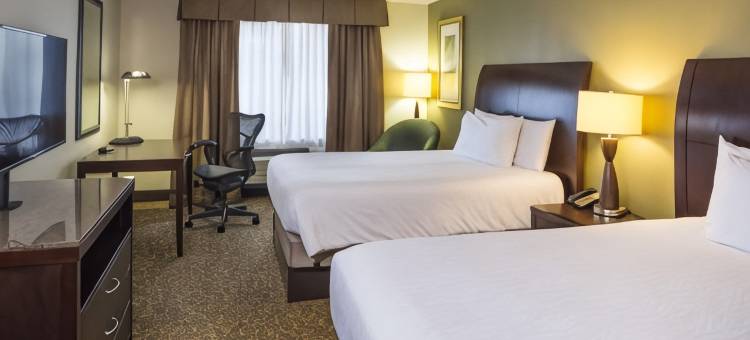 竞技场中央希尔顿花园酒店欢朋酒店(Hilton Garden Inn Hampton Coliseum Central)图片