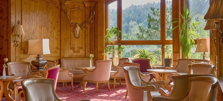 蒙施瓦德林酒店(Ringhotel Mönch`s Waldhotel)图片