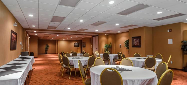 凯艺套房酒店(Quality Inn & Suites)图片