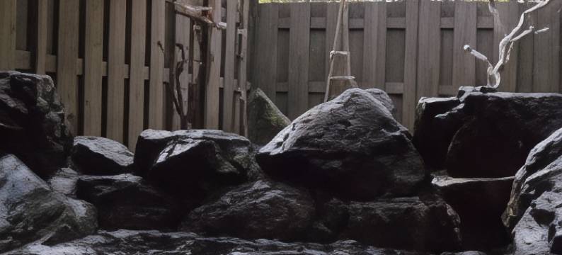 食菜館阿爾文(Pension Alvin)图片