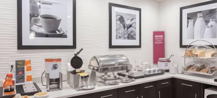 布法罗汉堡镇欢朋酒店(Hampton Inn Buffalo/Hamburg)图片