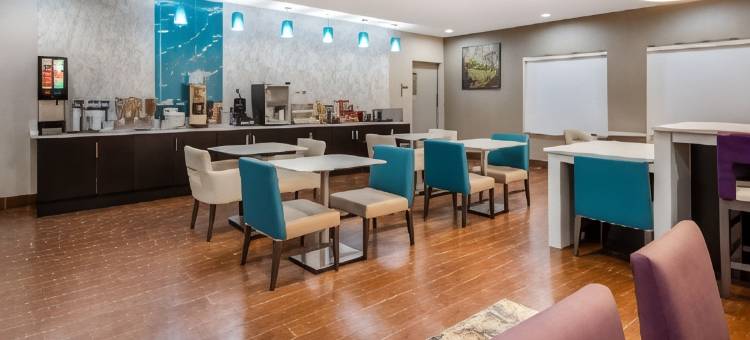 鲍特拉昆塔温德姆套房酒店(La Quinta Inn & Suites by Wyndham Boutte)图片