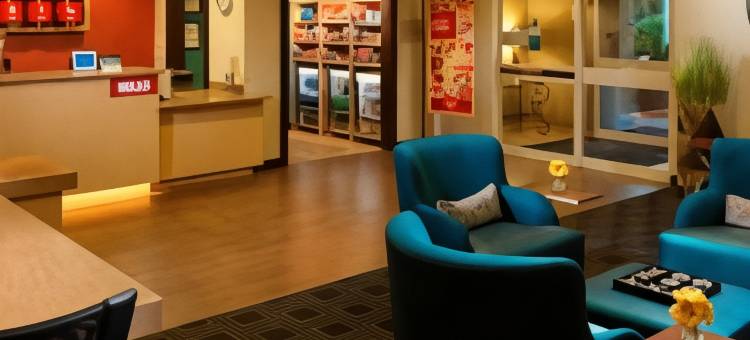 休斯顿北／雪兰多万豪TownePlace酒店(TownePlace Suites Houston North/Shenandoah)图片