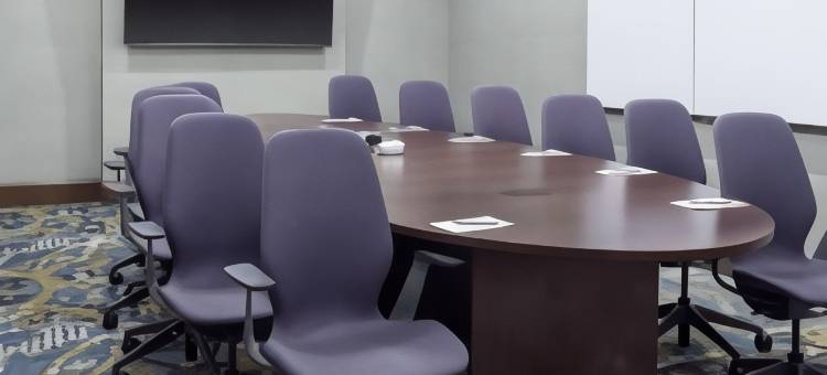 大急流城市中心希尔顿安泊酒店(Embassy Suites by Hilton Grand Rapids Downtown)图片