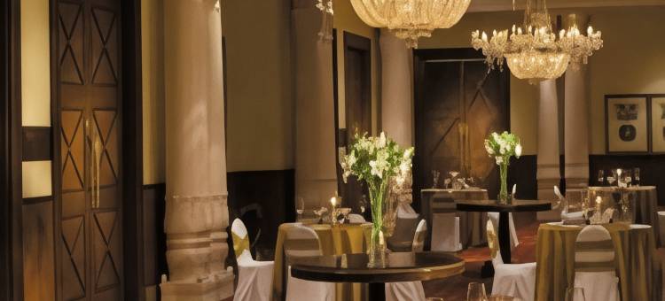 焦特布尔塔吉哈里玛哈尔酒店(Taj Hari Mahal Jodhpur)图片