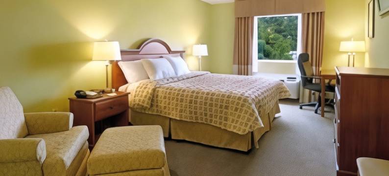 斯溫斯伯罗戴斯套房酒店(Days Inn & Suites by Wyndham Swainsboro)图片
