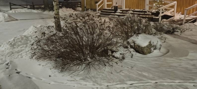 埃松加的图西拉戈酒店(Hotell Tussilago I Essunga)图片