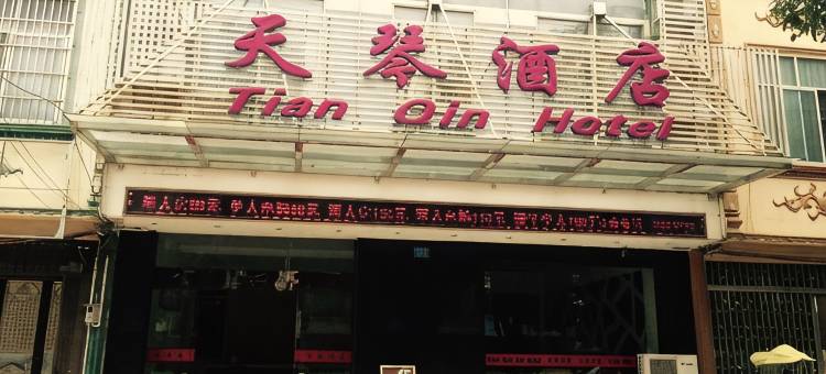 龙州天琴酒店图片