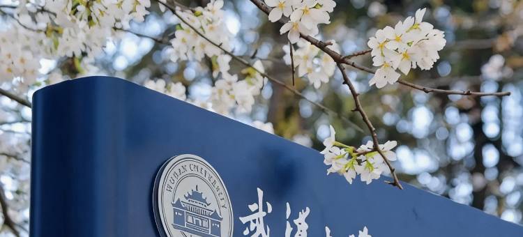 艺龙瑞云酒店(武汉江汉路步行街大智路地铁站店)图片