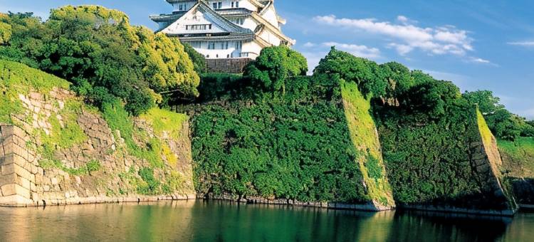 花筑・东心斋桥酒店(道頓堀店)(Floral Hotel・East Shinsaibashi)图片