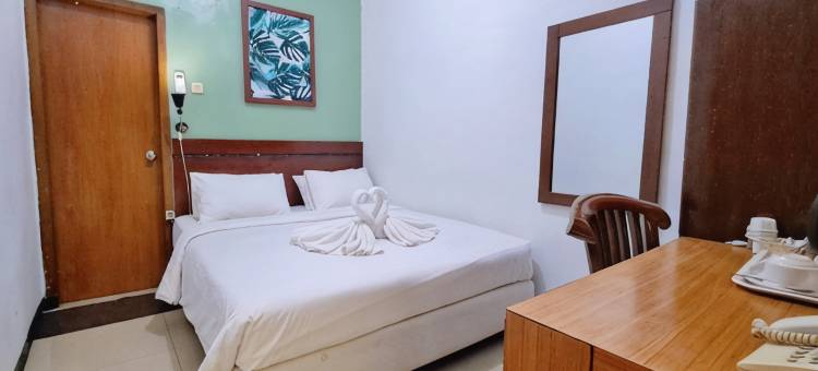 维萨塔巴鲁酒店(Hotel Wisata Baru)图片