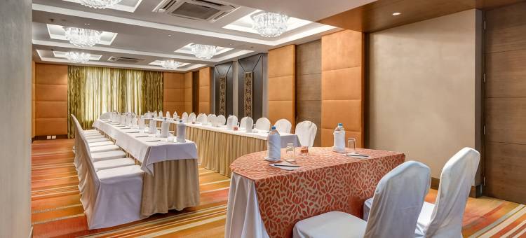 加尔各答傲世广场酒店(Pride Plaza Hotel, Kolkata)图片