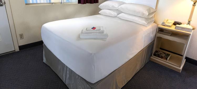 卡西维尔温德姆戴斯套房酒店(Days Inn & Suites by Wyndham Caseyville)图片