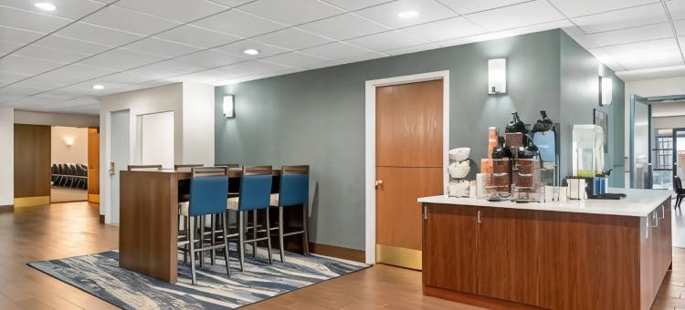 伯利恒舒适套房酒店-近利哈伊大学和LVI机场(Comfort Suites Bethlehem Near Lehigh University and LVI Airport)图片
