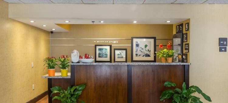 坦帕机场西岸希尔顿酒店(Hilton Tampa Airport Westshore)图片