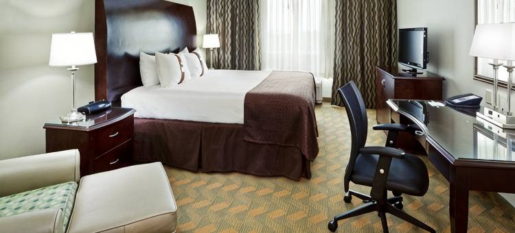 Holiday Inn 岩石丘(Holiday Inn ROCK HILL by IHG)图片